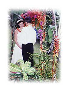 Get Married surrounded by Tropical Flowers